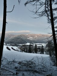 IMG20241210164121.jpg