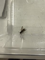IMG_4558.jpeg