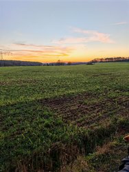 IMG_20241201_161522.jpg