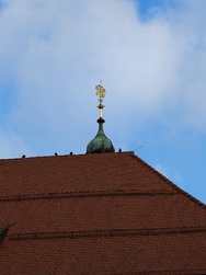 IMG_20241211_144955.jpg