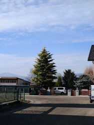 IMG_20241203_110830.jpg