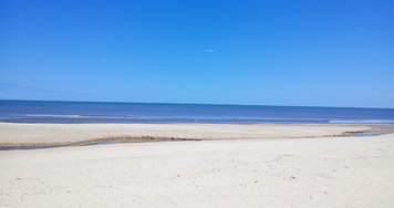 IMG_20241212_130159.jpg