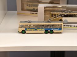 IMG_20241212_214036.jpg