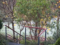 IMG_20241213_091108.jpg