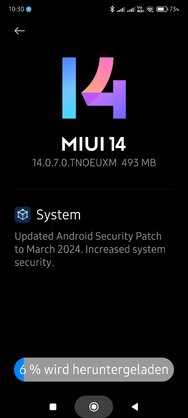 Screenshot_2024-12-13-10-30-24-234_com.android.updater.jpg