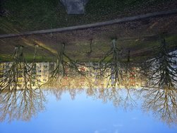20241213_103740.jpg