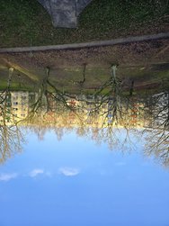 20241213_103828.jpg