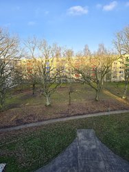 20241213_103815.jpg