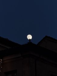 IMG_20241213_180147.jpg