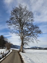 IMG20241214120726.jpg