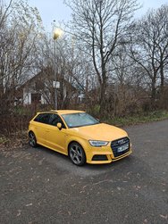 IMG20241214160116.jpg