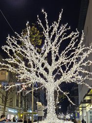 20241130_182812.jpg