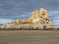 IMG_20241215_110106.jpg