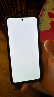 1000033204.jpg