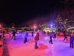 20241215_171734.jpg