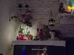20241215_202831.jpg