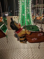IMG_20241216_180809.jpg