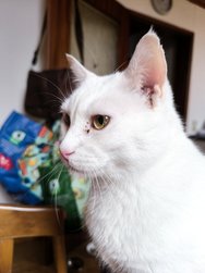 IMG_20241106_125137.jpg