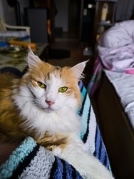 IMG_20241108_151833.jpg