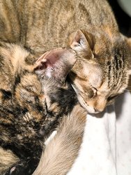 IMG_20241203_184559.jpg