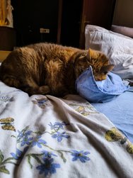 IMG_20241205_154204.jpg