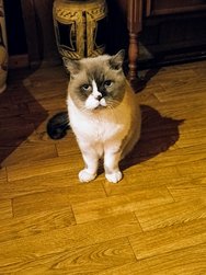 IMG_20241119_170924~2.jpg