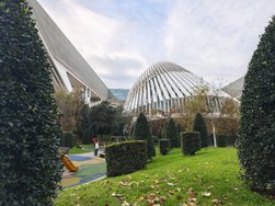 IMG_20241218_105718.jpg