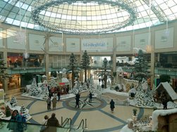 20241213_133320~2.JPG