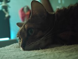 IMG20241214195249.jpg