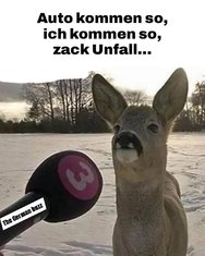 FB_IMG_1734616584782.jpg