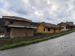 IMG_20241219_134359.jpg