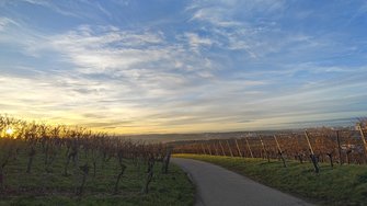 IMG_20241218_160327380_HDR.jpg