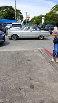 IMG_20241219_160216.jpg