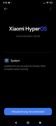 Screenshot_2024-12-20-05-08-06-119_com.android.updater.jpg