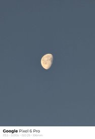sukashi_20241220_084423.jpg