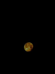 PXL_20241217_063750420.MP~4.jpg