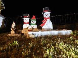 IMG_20241220_192245.jpg