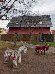 IMG_20241219_094831.jpg