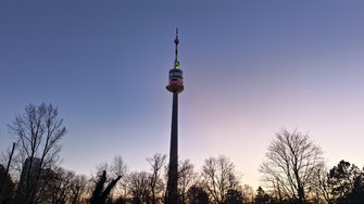 IMG_20241221_162417.jpg
