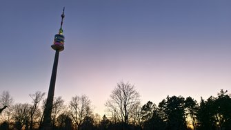 IMG_20241221_162427.jpg