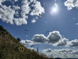 IMG_1627.JPEG