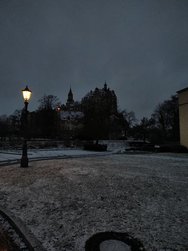 IMG_20241223_080710252.jpg