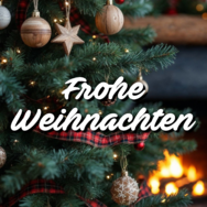 frohe weihnachten (1).png