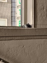 IMG_20241223_150545.jpg