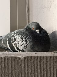 IMG_20241223_150552.jpg