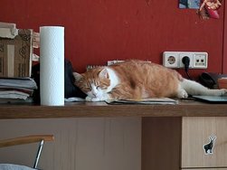 20241224_154933.jpg