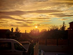IMG_20241224_161054.jpg