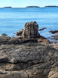 IMG_20241224_121857.jpg