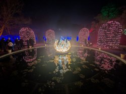 1000021608.jpg