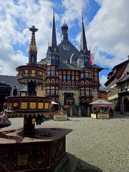 20240623_105628.jpg